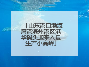 山东港口渤海湾港滨州港区港华码头迎来入夏生产小高峰