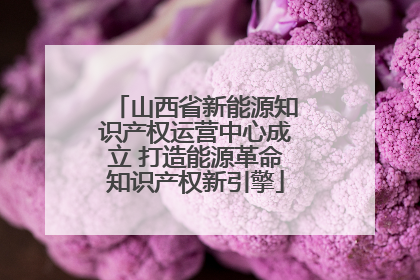山西省新能源知识产权运营中心成立 打造能源革命知识产权新引擎