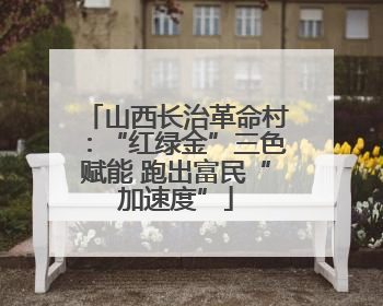 山西长治革命村：“红绿金”三色赋能 跑出富民“加速度”