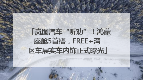 岚图汽车“听劝”！鸿蒙座舱5首搭，FREE+湾区车展实车内饰正式曝光