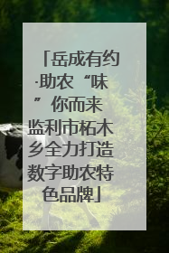 岳成有约·助农“味”你而来 监利市柘木乡全力打造数字助农特色品牌