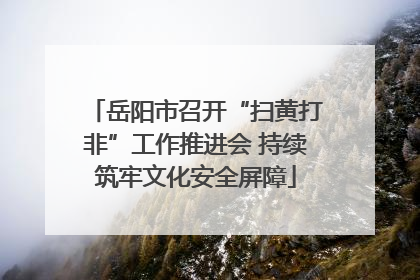 岳阳市召开“扫黄打非”工作推进会 持续筑牢文化安全屏障