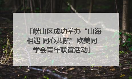 崂山区成功举办“山海相遇 同心共融”欧美同学会青年联谊活动