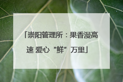 崇阳管理所：果香漫高速 爱心“鲜”万里