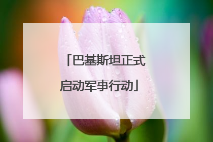 巴基斯坦正式启动军事行动