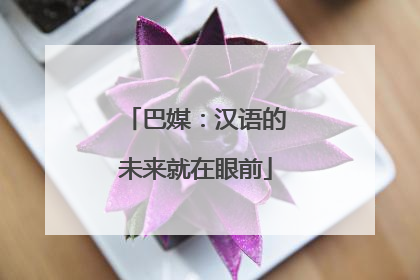 巴媒：汉语的未来就在眼前