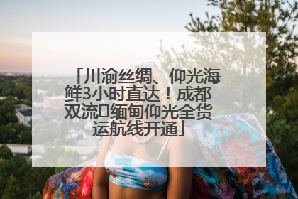川渝丝绸、仰光海鲜3小时直达！成都双流⇌缅甸仰光全货运航线开通