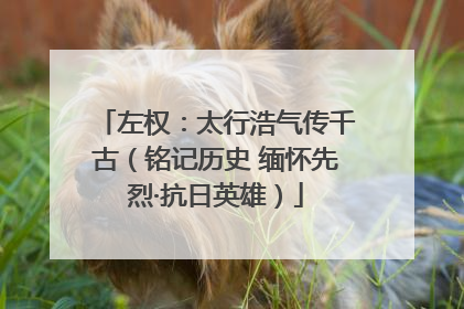 左权：太行浩气传千古（铭记历史 缅怀先烈·抗日英雄）