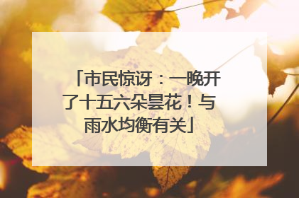 市民惊讶：一晚开了十五六朵昙花！与雨水均衡有关