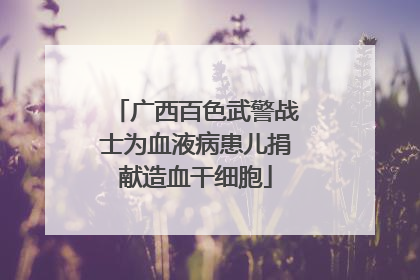 广西百色武警战士为血液病患儿捐献造血干细胞