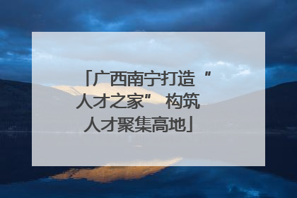 广西南宁打造“人才之家” 构筑人才聚集高地