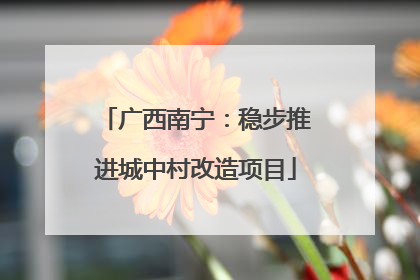 广西南宁：稳步推进城中村改造项目
