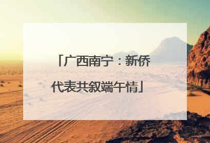广西南宁：新侨代表共叙端午情