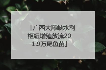 广西大藤峡水利枢纽增殖放流201.9万尾鱼苗