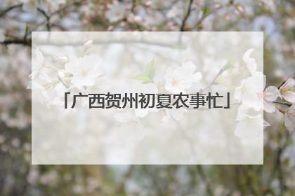 广西贺州初夏农事忙
