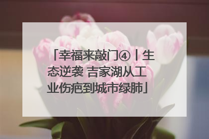 幸福来敲门④丨生态逆袭 吉家湖从工业伤疤到城市绿肺
