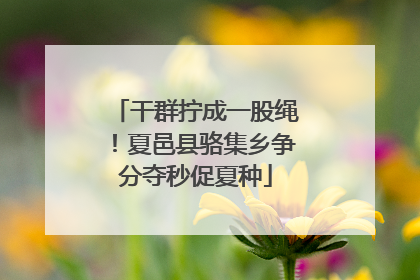干群拧成一股绳！夏邑县骆集乡争分夺秒促夏种