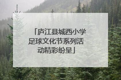 庐江县城西小学足球文化节系列活动精彩纷呈