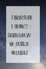 强农先锋丨张梅兰：深耕山区农业 共筑丰收田园