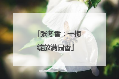 张冬香：一梅绽放满园香