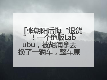 张朝阳后悔“退货”！一个绝版Labubu，被胡润拿去换了一辆车，整车原价值上百万元
