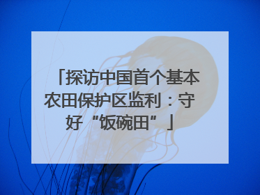 探访中国首个基本农田保护区监利：守好“饭碗田”