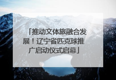 推动文体旅融合发展！辽宁省匹克球推广启动仪式启幕