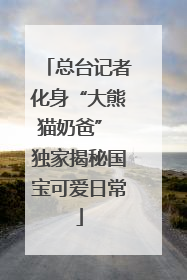 总台记者化身“大熊猫奶爸” 独家揭秘国宝可爱日常