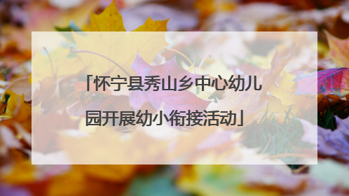 怀宁县秀山乡中心幼儿园开展幼小衔接活动