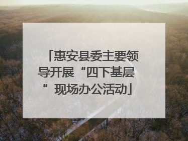 惠安县委主要领导开展“四下基层”现场办公活动