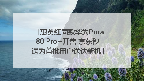 惠英红同款华为Pura 80 Pro+开售 京东秒送为首批用户送达新机