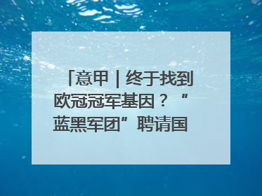 意甲｜终于找到欧冠冠军基因？“蓝黑军团”聘请国米名宿齐沃执教
