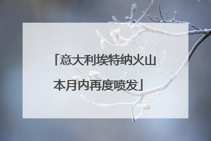 意大利埃特纳火山本月内再度喷发