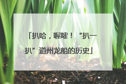 扒哈，喔嚯！“扒一扒”道州龙船的历史