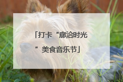 打卡“廊洽时光”美食音乐节