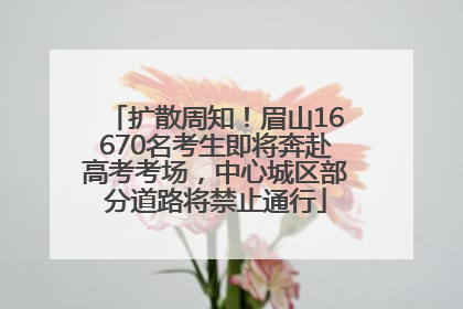 扩散周知！眉山16670名考生即将奔赴高考考场，中心城区部分道路将禁止通行