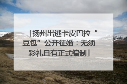 扬州出逃卡皮巴拉“豆包”公开征婚：无须彩礼且有正式编制