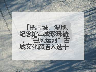 把古城、湿地、纪念馆串成珍珠链，“鲁风运河”古城文化廊道入选十大最美农村路