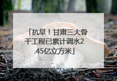 抗旱！甘肃三大骨干工程已累计调水2.45亿立方米