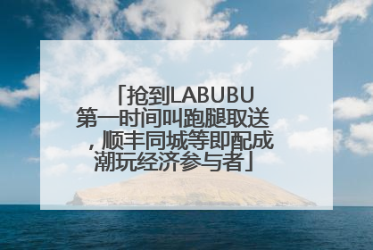 抢到LABUBU第一时间叫跑腿取送，顺丰同城等即配成潮玩经济参与者