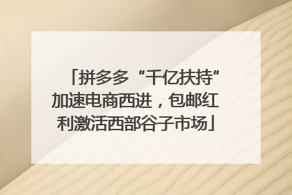 拼多多“千亿扶持”加速电商西进，包邮红利激活西部谷子市场