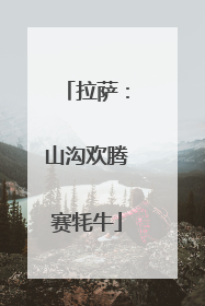 拉萨：山沟欢腾赛牦牛