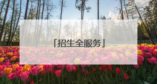 招生全服务
