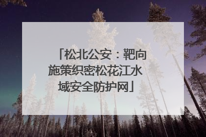 松北公安：靶向施策织密松花江水域安全防护网