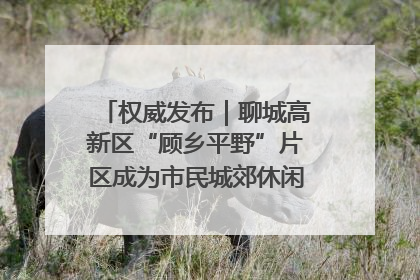 权威发布｜聊城高新区“顾乡平野”片区成为市民城郊休闲全新目的地