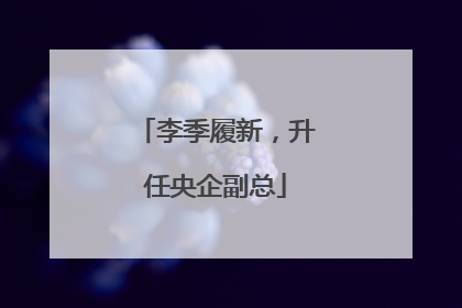 李季履新，升任央企副总
