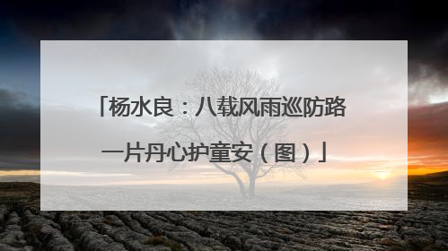 杨水良：八载风雨巡防路 一片丹心护童安（图）
