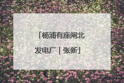 杨浦有座闸北发电厂｜张新