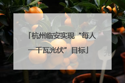 杭州临安实现“每人一千瓦光伏”目标
