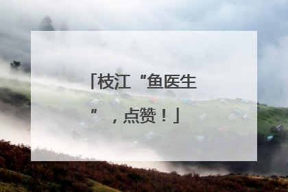 枝江“鱼医生”，点赞！